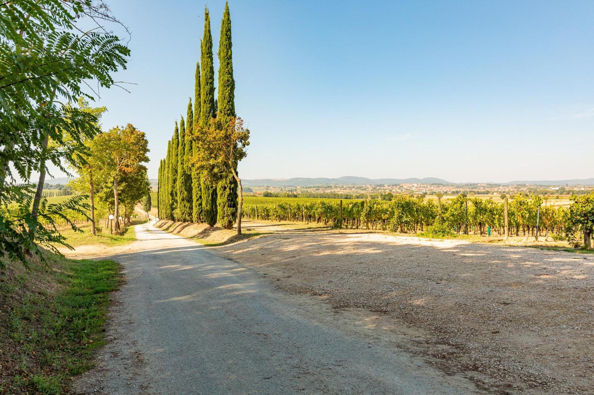 Appartamento Nobile Montepulciano Stazione Exterior foto